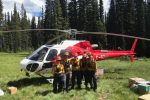 forest-wildfire-services-5